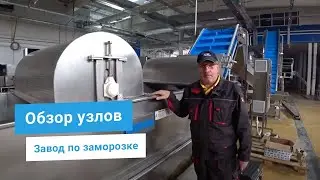 Линия подготовки перца к шоковой заморозке: барботажная мойка, деление на половинки, нарезка перца.