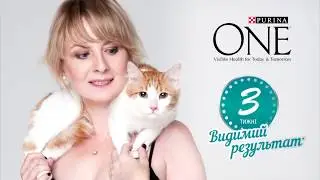 Project for Nestle. 3 week challenge Purina One. Anna