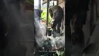 Cerita Bakar Batu Desember 2022