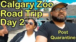 Calgary Zoo Post Quarantine