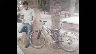 sevgi