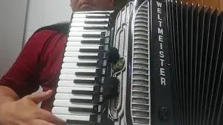 Butuman Sorin - Cover Paul Stanga - Hora acordeonului