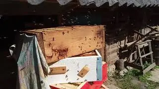сушу корпуса