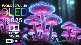 REAL 4K HDR 60FPS Dolby Vision - 4K Video ULTRA HD