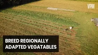 Locally Produced Seeds for Your Garden