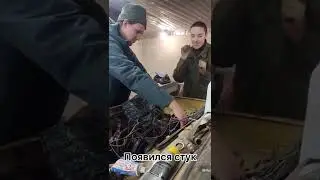 29 января 2022 г.