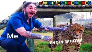 r/WholesomeMemes · awww