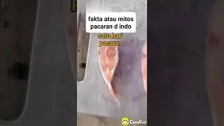 Story wa anak muda