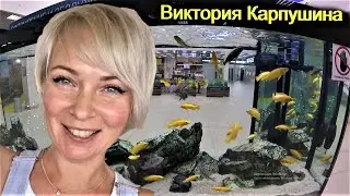 Виктория Карпушина г.Тверь