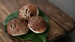 Chinese Mushroom Buns | Plant-Based Dim Sum Recipe