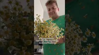 ЗНАЕТЕ ЭТИХ РЕБЯТ?)| моя тгшка: molimmota 🗿 #shorts