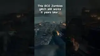 Who Knew THIS About BO2 Zombies? 🤔