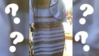 Di che colore è questo vestito?!? - LA VERITÀ