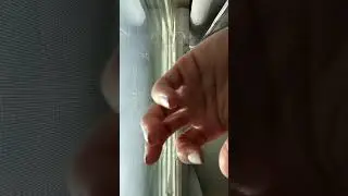 ASMR Build-Up Window Tapping ✨ #asmr