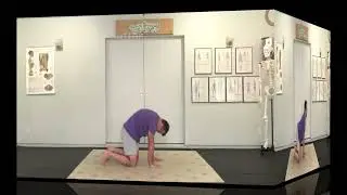 Basketball Mobility Part 2 of 6: Quadruped