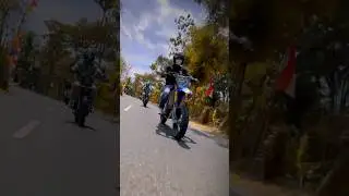 Turun gunung
