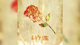 Aamire - Here (Official Audio)