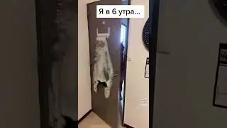А у вас так было?