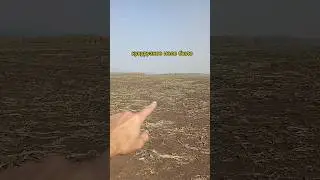 устроили помойку на феремерском поле..