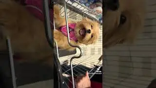 Вот это да!