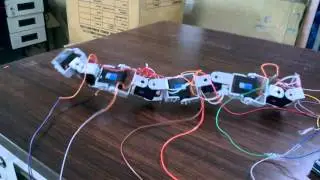 Snake Robot(Servo testing)