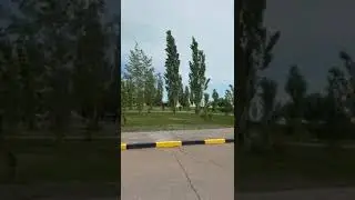 #икракрасная #копченаярыба #казахстан #балхаш #россия #яровое #еда