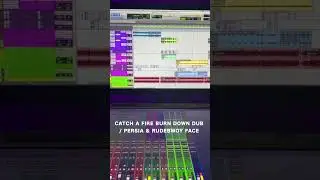 CATCH A FIRE BURN DOWN DUB  / PERSIA & RUDEBWOYFACE #burndown