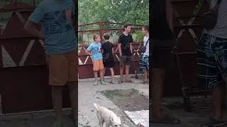 Санька