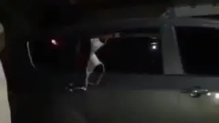 Mobil goyang dimalam hari😂