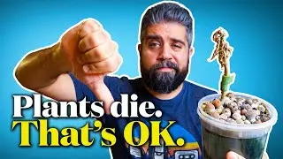 Your Plants Are DEAD & That’s OK – Here’s 15 Reasons Why