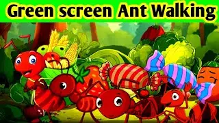 Ant walking green screen l Green screen cartoon animation video l Walking Ant Cartoon green screen