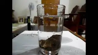 Experiment 2 - To prove Soil contains Air