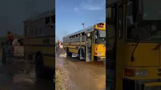 SCHOOL BUS TUG OF WAR #shorts #schoolbus #tugofwar #dieseltrucks #diesel