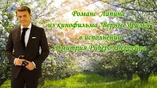 Дмитрий  Риберо-Феррейра