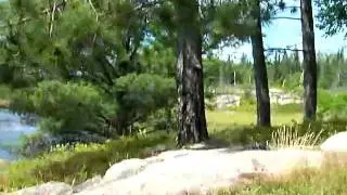 Tower Lake 4