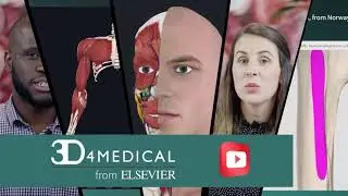 Welcome to the Complete Anatomy Youtube Channel!