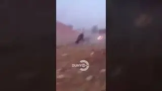 супер салта
