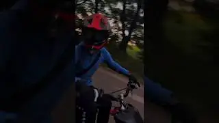 Fake