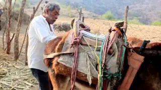 MEZCAL Y VIDA 100% TIXTLA