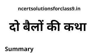 Do Bailon ki katha in hindi summary