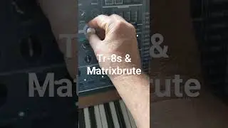 fun with drum machines and sequencers! #electronicmusic #matrixbrute