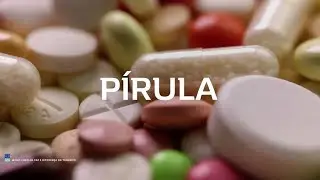 Renault Kwid - Pré Lançamento - Pírula