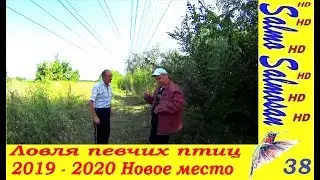 Songbird Hunting - 2019 - 2020 New Location Part 38