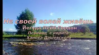 Йегуда Лейб Гордон  Не своей волей живёшь 