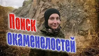 Интересные окаменелости по скалам и оврагам
