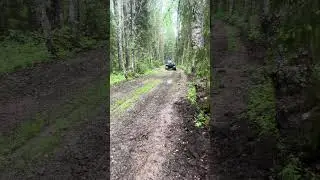 Тест-драйв квадро-вездехода Дозер в лесу #shorts