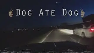 KSLV - Dog Ate Dog