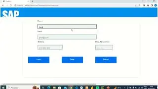 Como automatizar o sistema SAP usando Python