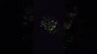 Подсветка гортензий