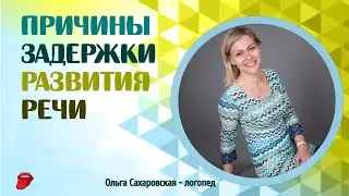 Причины задержки развития речи. Мнение логопеда
